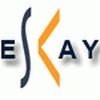 Eskay Placement Company Logo