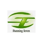 Stunning Seven Global Services Pvt. Ltd. logo