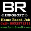 BR Infosoft Pvt Ltd Company Logo