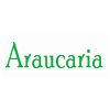 Araucaria Technologies Company Logo