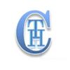 Hawk Consultant Company Logo