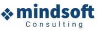 Mindsoft Consulting India Company Logo