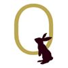 Jump the Queue Company Logo