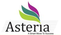 Asteria Consulting Solutions Company Logo
