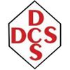 Distinct Consultancy Services Company Logo