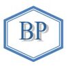 Bridge Placements Company Logo