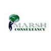 Marsh Consultancy Company Logo