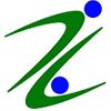 Virzin Business Services Company Logo