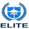 Elite Intelligence Services Company Logo