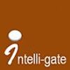 Intelli-gate Solutions Company Logo