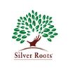 Silver Roots Traders Pvt Ltd Company Logo