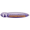 Proactive Manpower Solutions Company Logo