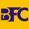 Bright Future Consultancy Company Logo