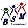 Bsm Consulting Company Logo