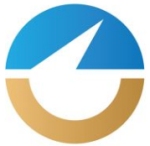 Vision Global Solutions logo