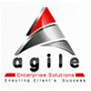 Agile Enterprise Solutions Company Logo