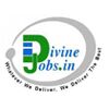 Divine Job Solution Pvt Ltd Company Logo