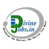 Divine Jobs Solution Pvt Ltd Company Logo