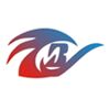 Bellicose Solution Company Logo
