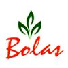 Bolas Intelli Solutions Pvt Ltd Company Logo