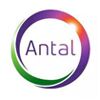 Antal International Network Company Logo