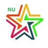 Nu Stars Consultancy Company Logo