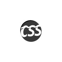 Css Player It Solutions Company Logo