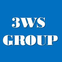 3ws Group Company Logo