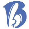 Brj Infosolutions Company Logo
