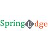 Spring Edge Company Logo