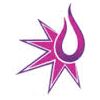Unique Star Information Media Ltd Company Logo