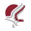Delta Placements Company Logo