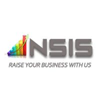 Netshell Infosystem Pvt. Ltd. Company Logo