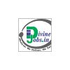 Divine Jobs Solution Pvt. Ltd. Hazaratganj Lucknow Company Logo