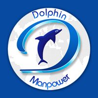 Dolphin Manpower Company Logo