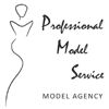 Promodel Service Company Logo