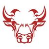 Bull's Eye Technologies Company Logo