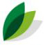 Nature Touch Landscape Pvt.ltd Company Logo