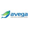 Avega Human Capital Company Logo