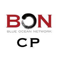Blue Ocean Network China Content Provider Company Logo