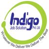 Indigo Job Solutions Pvt Ltd Company Logo