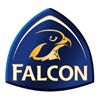 Falcon Management Services Company Logo