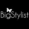 Bigstylist Company Logo