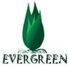 Evergreen Product and Services Company Logo