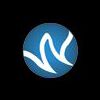 Wiztech Consultancy Pvt. Ltd. Company Logo