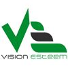 Vision Esteem Company Logo