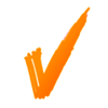 VanraSoft Technologies Pvt. Ltd. logo