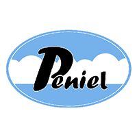 Peniel Hr Solutions Company Logo