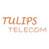 Tulips Telecom Company Logo