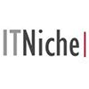 It Niche India Pvt. Ltd. Company Logo